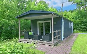 4P Chalet Tolve Met 4 Fietsen Vlakbij Natuurgebieden Drents Friese Wold, Fochteloerveen En Gevangenisdorp Veenhuizen