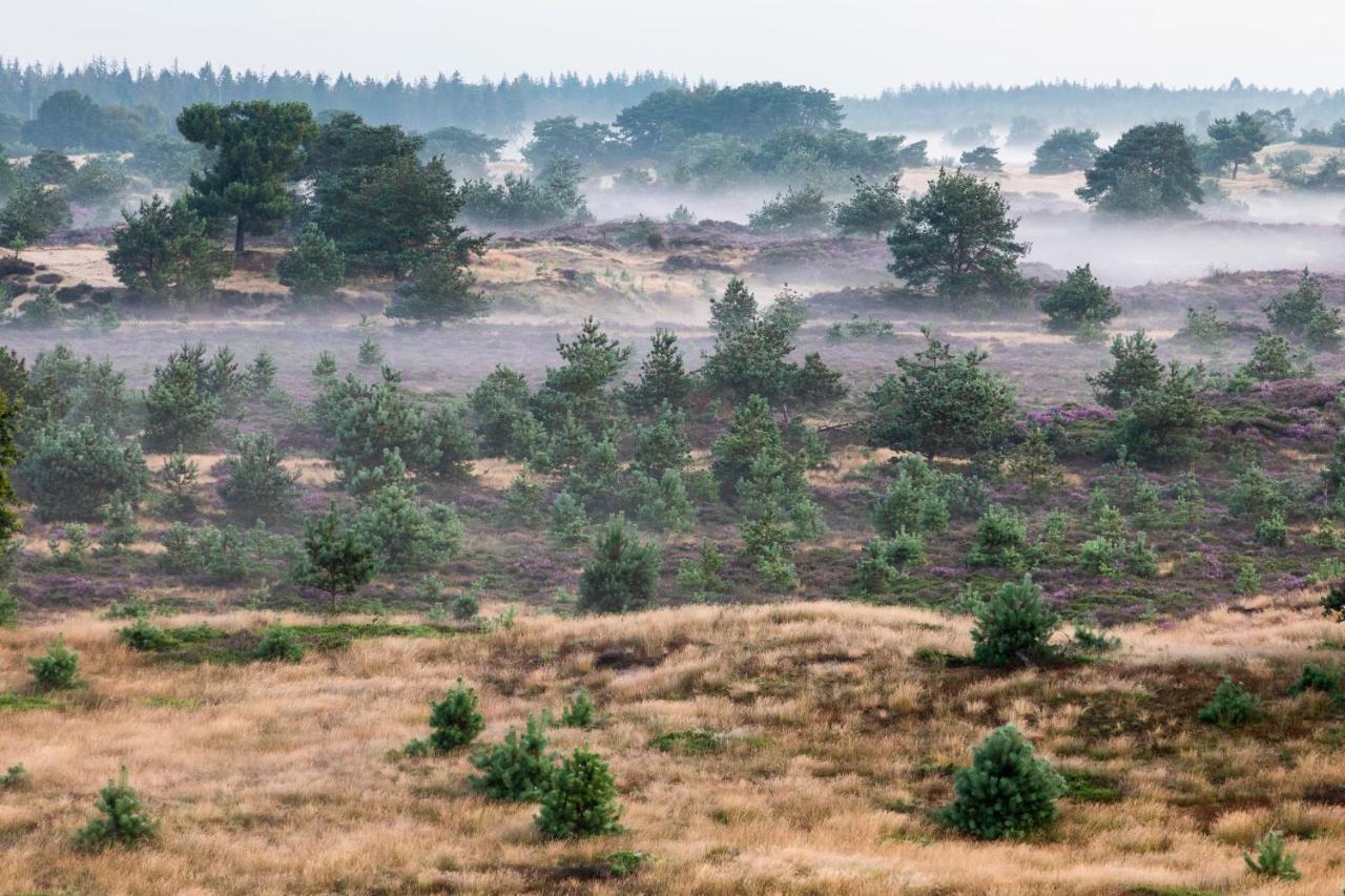 4P Chalet Tolve: Cycling Retreat Near Drents Friese Wold Nature Reserve Oosterwolde  Exterior photo