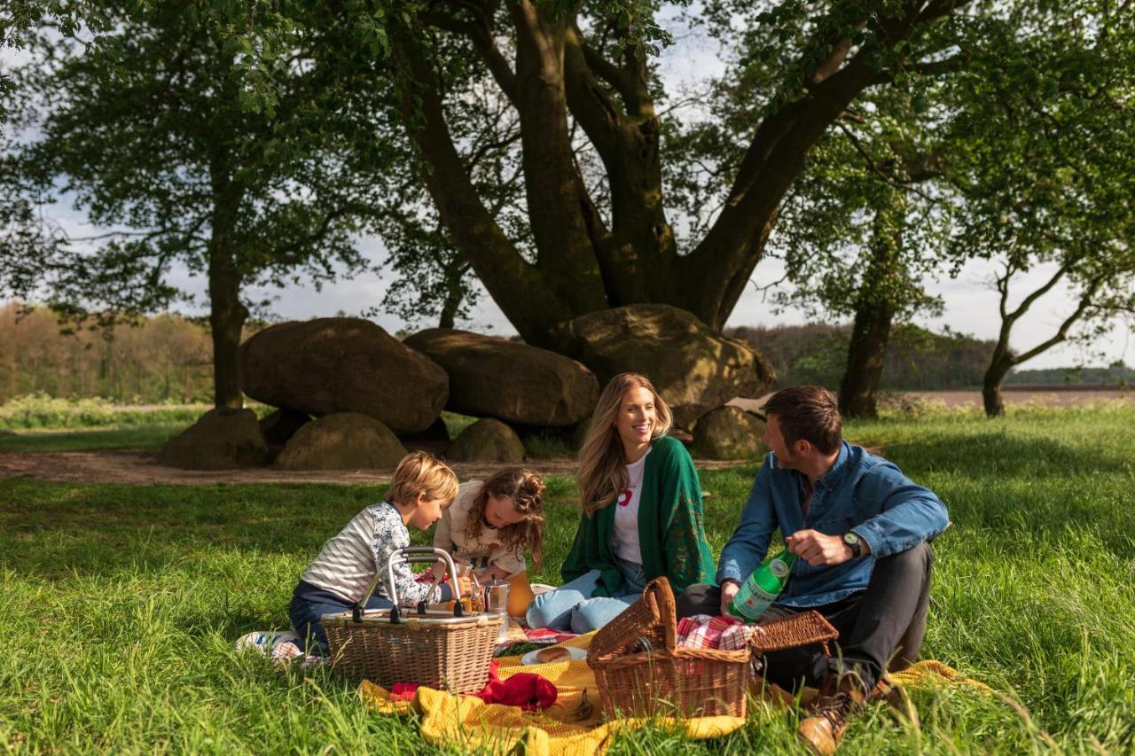 4P Chalet Tolve: Cycling Retreat Near Drents Friese Wold Nature Reserve Oosterwolde  Exterior photo